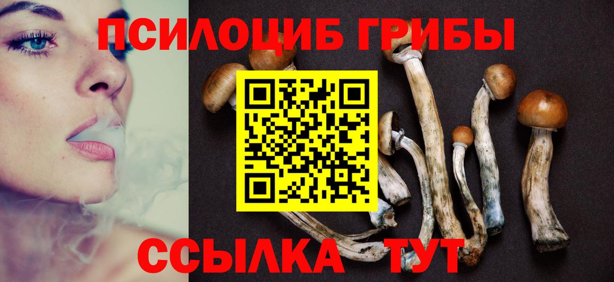 Псилоцибиновые грибы мицелий  Псилоцибиновые грибы Psilocybe  Санкт-Петербург  Вход с VPN 